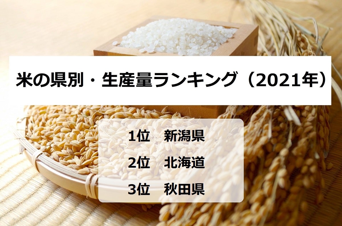 米の生産量トップ5はどこですか？