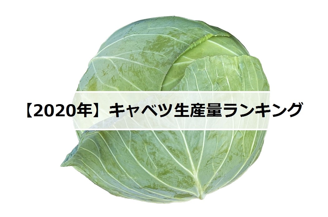 年 キャベツの生産量ランキング 日本で有名な産地は お米の知恵袋