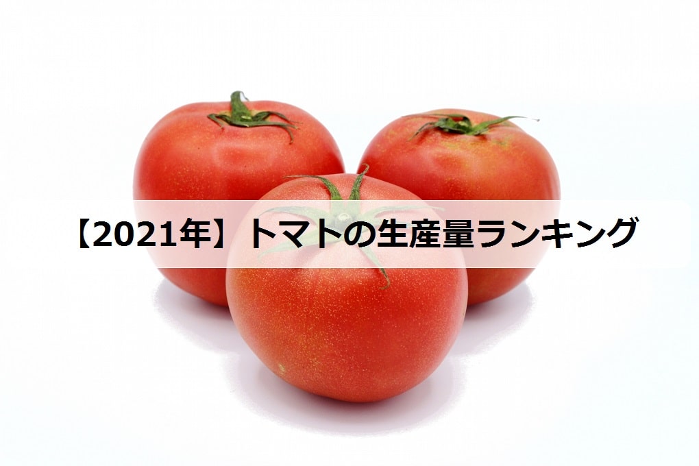 日本一のトマトは？