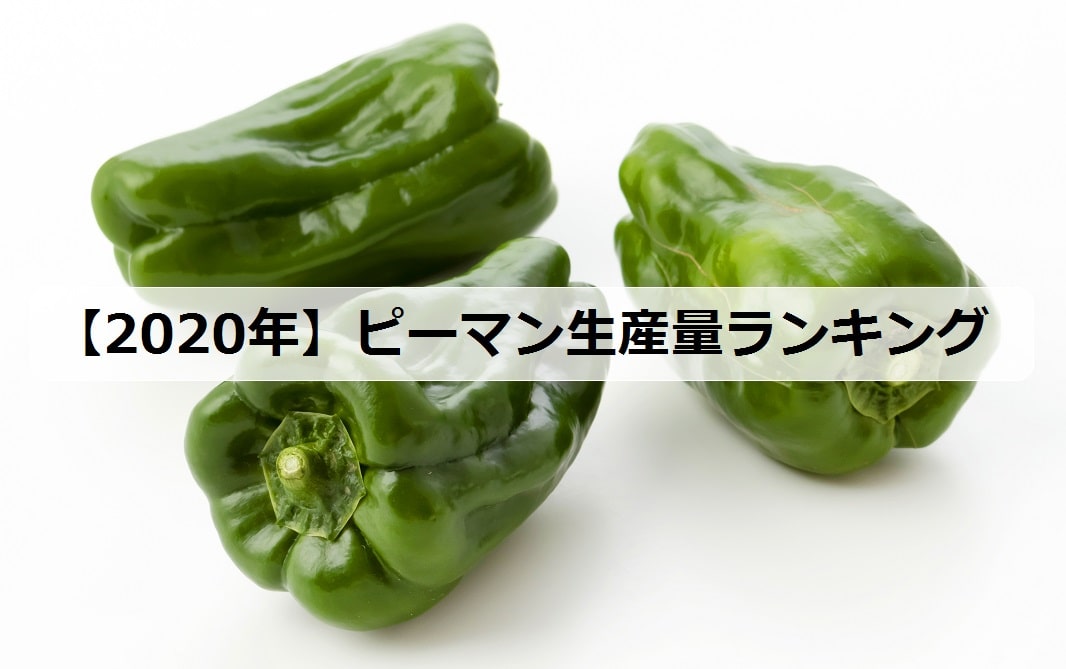 年 ピーマンの生産量ランキング 日本で有名な産地は お米の知恵袋
