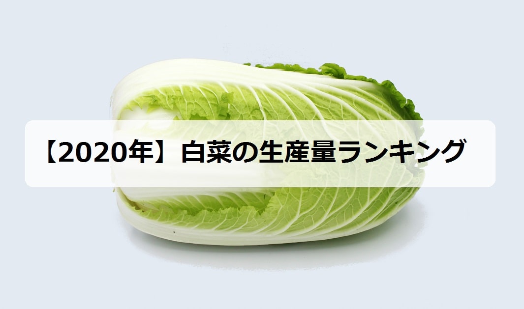 年 白菜の生産量ランキング 日本で有名な産地は何県 お米の知恵袋