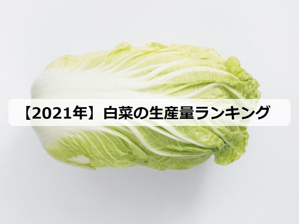 21年 白菜の生産量ランキング 日本で有名な産地は何県 お米の知恵袋