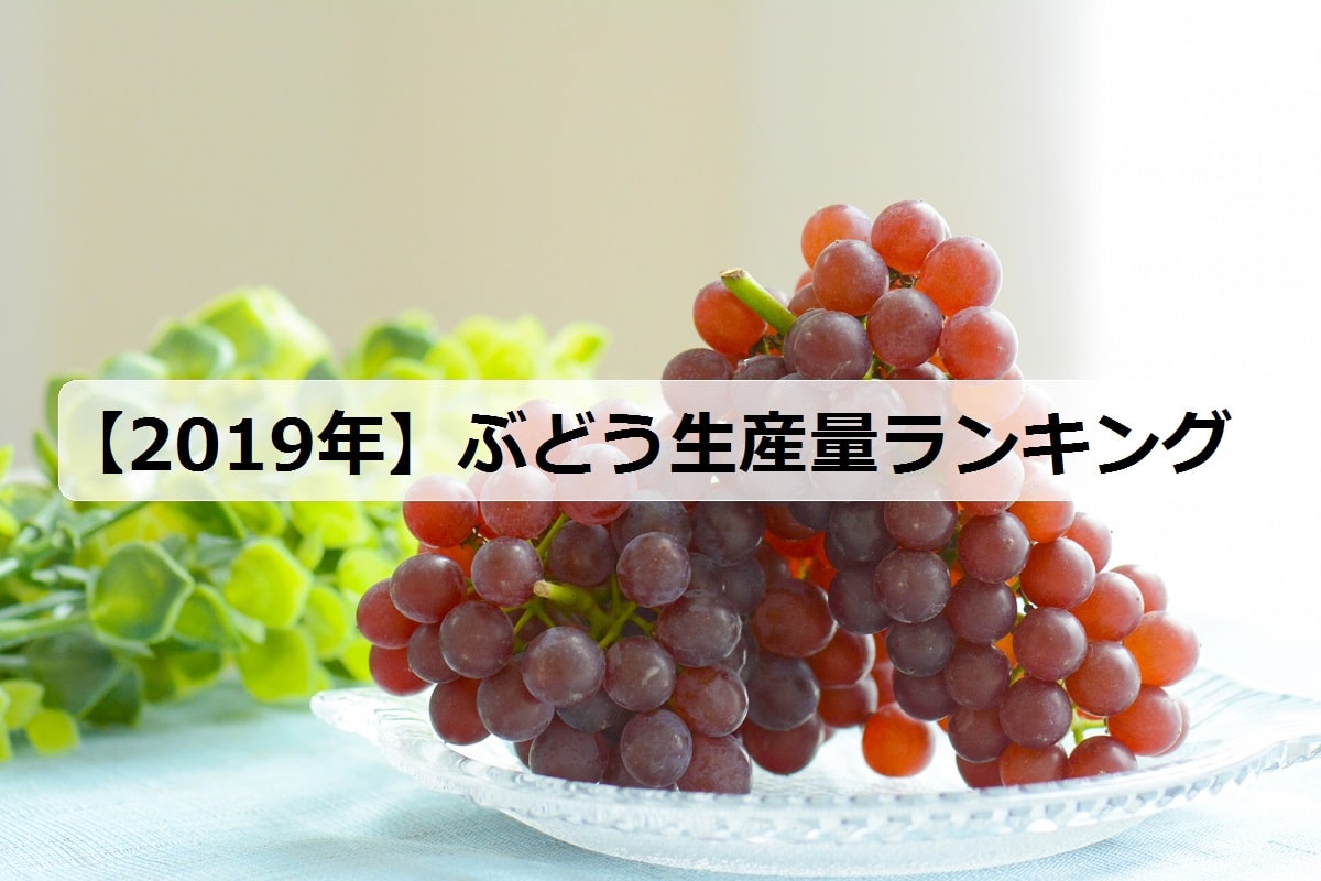 19年 ぶどうの生産量ランキング 日本で有名な産地は お米の知恵袋