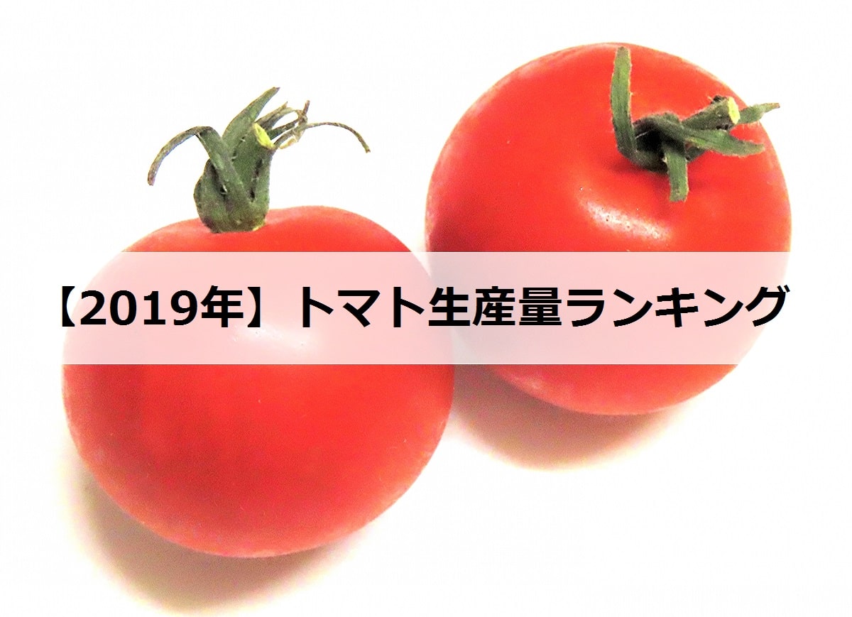 19年 トマトの生産量ランキング 日本で有名な産地は何県 お米の知恵袋