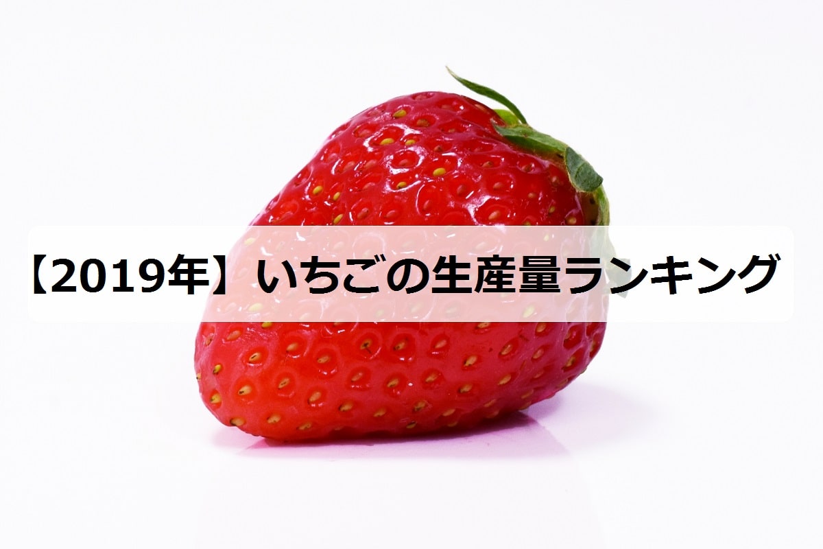 19年 いちごの生産量ランキング 日本で有名な産地は お米の知恵袋