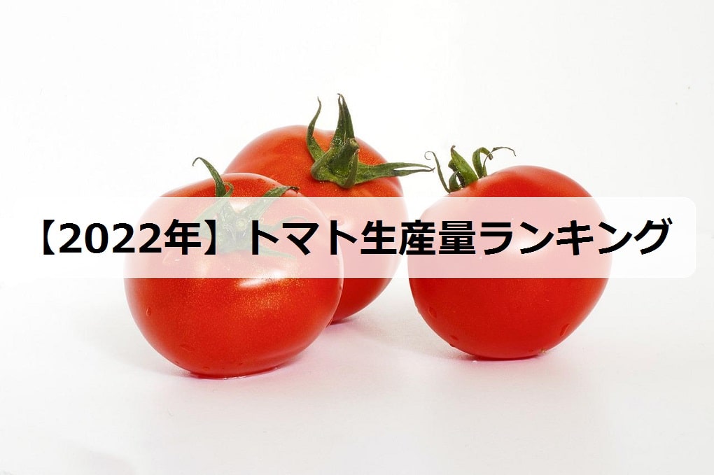 22年 トマトの生産量ランキング 日本で有名な産地は何県 お米の知恵袋