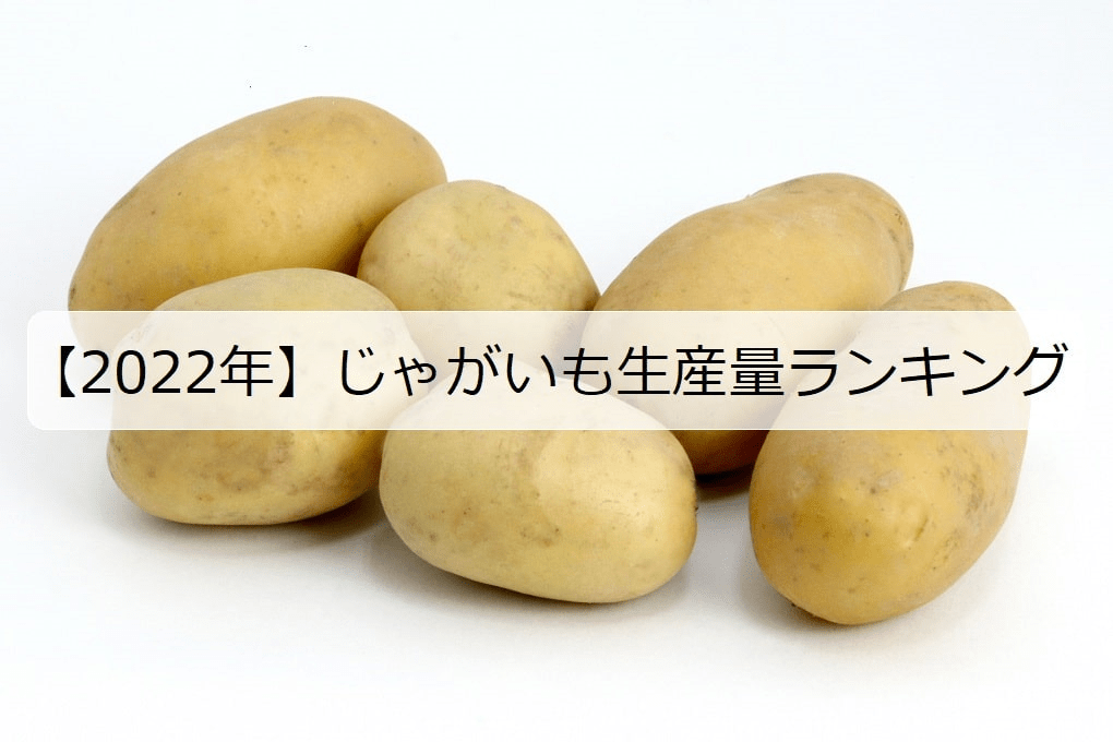 22年 じゃがいもの生産量ランキング 日本で有名な産地は何県 お米の知恵袋 22年 じゃがいもの生産量ランキング 日本で有名な産地は何県 お米の知恵袋